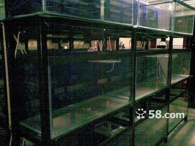 本地二手魚缸市場價格：二手魚缸價格行情根據搜索結果中找到了一些關于二手魚缸價格的信息