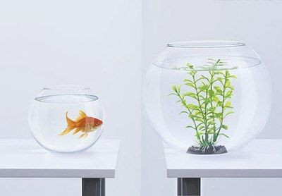辦公桌上放魚缸風水：辦公桌上擺放魚缸擺放風水宜忌辦公室魚缸擺放風水宜忌