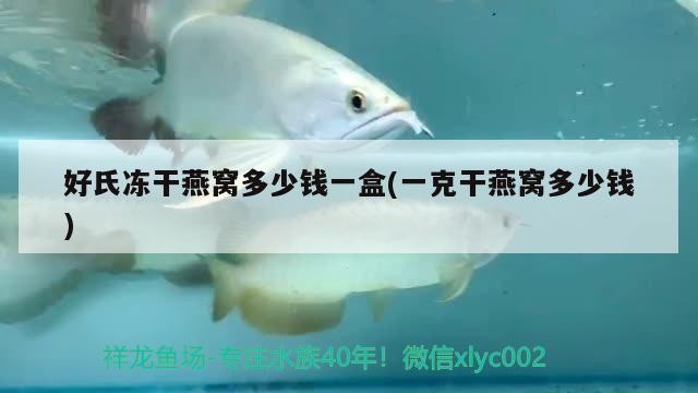 龍魚虎魚水溫多少適合換水（虎魚和龍魚混養溫度多少合適）