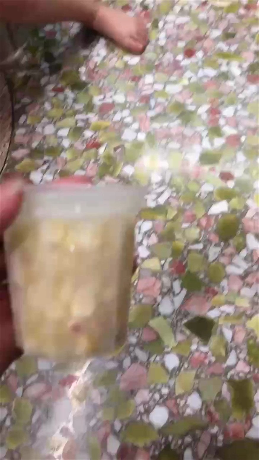 日常記錄