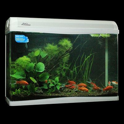 搬個(gè)1米2魚(yú)缸要多少錢(qián)：搬一個(gè)1米2的魚(yú)缸需要多少錢(qián)？