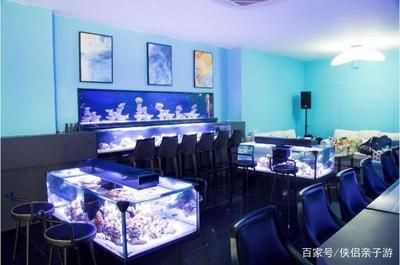 帶我去魚缸咖啡店：南京的魚缸咖啡店