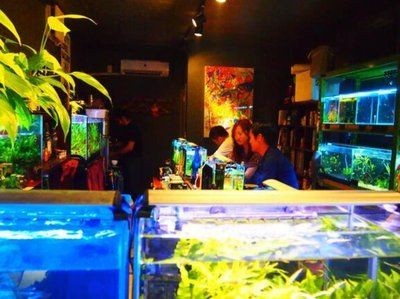 帶我去魚缸咖啡店：南京的魚缸咖啡店