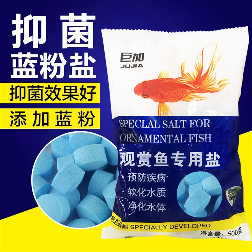 紅龍魚和銀龍魚混養好不好呢：關于紅龍魚和銀龍魚混養的問題