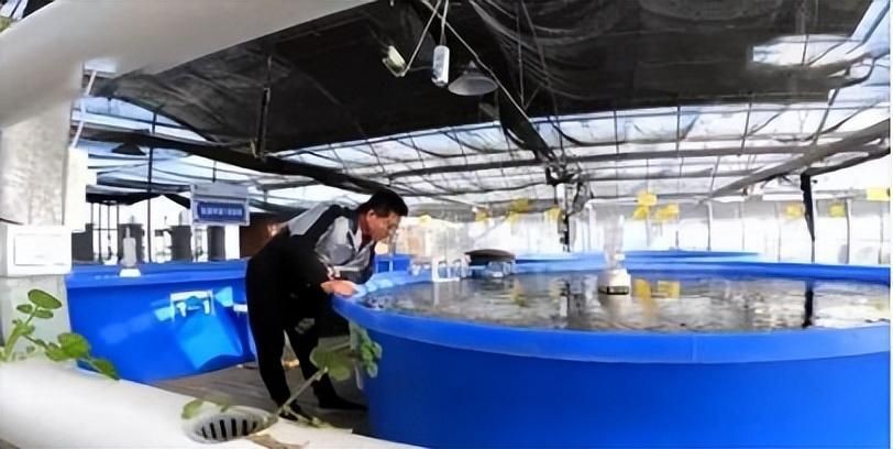 大桶水做魚缸好不好用：如何合理使用桶裝水養魚？