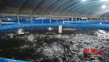 大桶水做魚缸好不好用：如何合理使用桶裝水養魚？