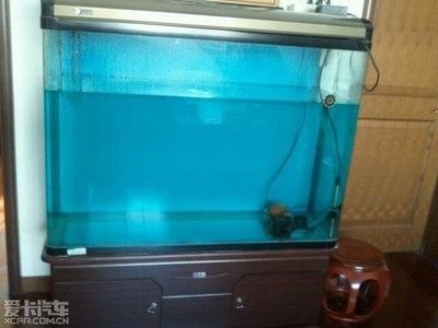 不用的魚缸怎么辦：\"不用的魚缸怎么辦\"不用的魚缸怎么處理