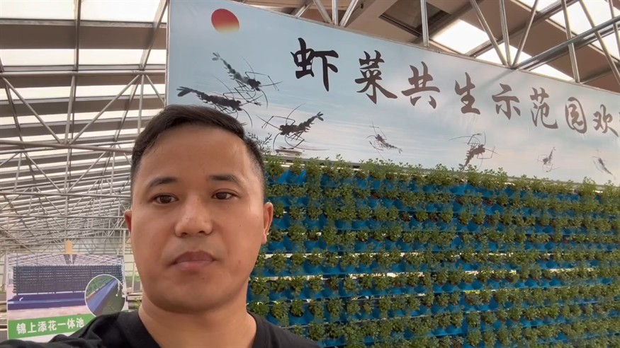 淡化標(biāo)粗第二講