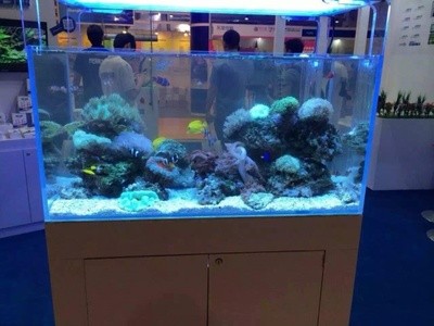 茅箭區(qū)五堰尚美水族館（茅箭區(qū)五堰尚美水族館電話）
