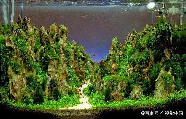 大魚缸費電嗎:大魚缸一個月總電費120元 魚缸百科 第4張 大魚缸費電嗎:大魚缸一個月總電費120元 大魚缸費電嗎:大魚缸一個月總電費120元 魚缸百科 第4張