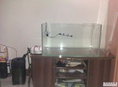 超白缸和普通魚缸的區別：超白缸和普通魚缸的價格差異