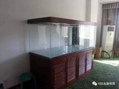 搬魚缸多少錢一天合適：跨市搬家注意事項跨市搬家公司服務(wù)費用需考慮的因素 搬魚缸多少錢一天合適：跨市搬家注意事項跨市搬家公司服務(wù)費用需考慮的因素 魚缸百科 第1張