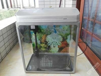 敞開(kāi)式魚(yú)缸還是帶蓋魚(yú)缸好：魚(yú)缸帶蓋的優(yōu)缺點(diǎn)和缺點(diǎn)和缺點(diǎn)和缺點(diǎn)和優(yōu)缺點(diǎn)