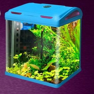 大型原生態魚缸：大型原生態魚缸制作與設計大型原生態魚缸的制作與設計