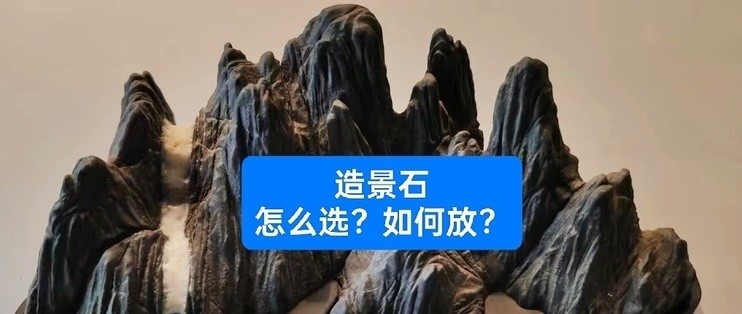 壽光市上口鎮(zhèn)智圣水族館(壽光市上口鎮(zhèn)智圣水族館電話) 全國水族館企業(yè)名錄 第1張 壽光市上口鎮(zhèn)智圣水族館(壽光市上口鎮(zhèn)智圣水族館電話) 壽光市上口鎮(zhèn)智圣水族館(壽光市上口鎮(zhèn)智圣水族館電話) 全國水族館企業(yè)名錄 第1張