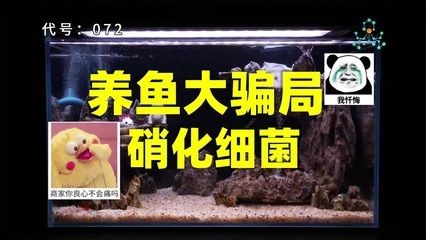 出售低價魚缸騙局：\"出售低價魚缸騙局\"