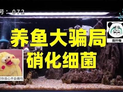 出售低價魚缸騙局：\"出售低價魚缸騙局\"