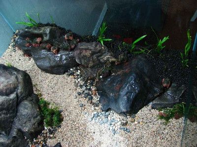 大魚缸水草泥怎么鋪好呢：大魚缸水草泥鋪設(shè)技巧和注意事項(xiàng)和注意事項(xiàng)