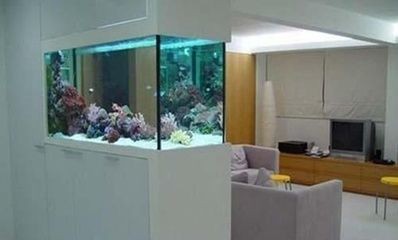 北流市白馬鎮神灣水族商店（北流市白馬鎮神灣水族商店電話）