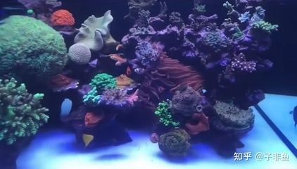 大型景觀魚缸制造設(shè)備：\"大型景觀魚缸制造設(shè)備\"信息