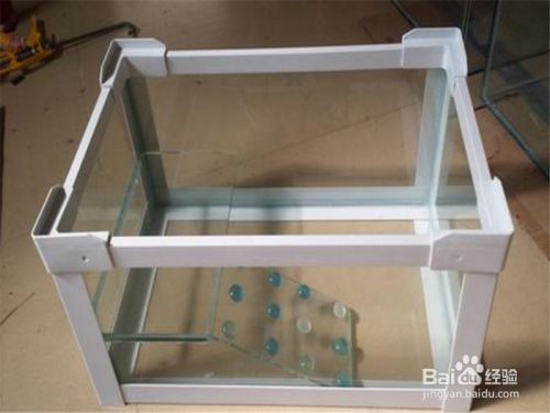 大型魚缸怎么搬上樓：大型魚缸搬運注意事項