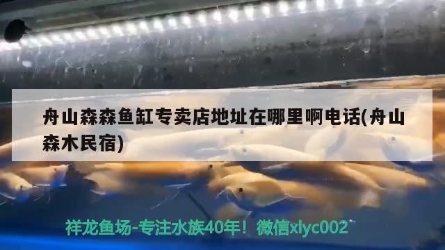 北京魚友水族館（北京魚友水族館地址）