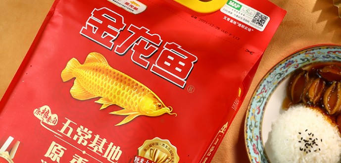 紅龍魚品相怎么看圖解（紅龍魚品相怎么看圖解視頻） 紅龍魚品相怎么看圖解（紅龍魚品相怎么看圖解視頻） 紅龍魚百科