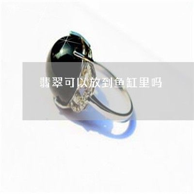 把翡翠放在魚缸里好嗎：把翡翠放在魚缸里好不好？ 把翡翠放在魚缸里好嗎：把翡翠放在魚缸里好不好？ 魚缸百科 第1張