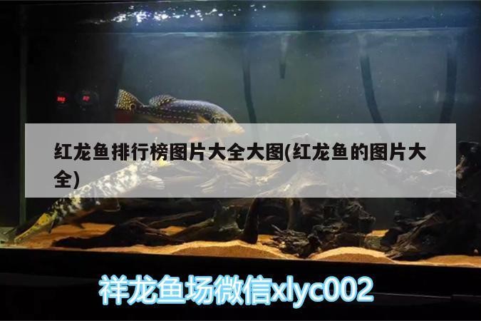 銀川哪里有賣魚缸的實體店？，銀川哪里有賣魚缸的實體店啊圖片和銀川佳寶魚缸專賣在哪