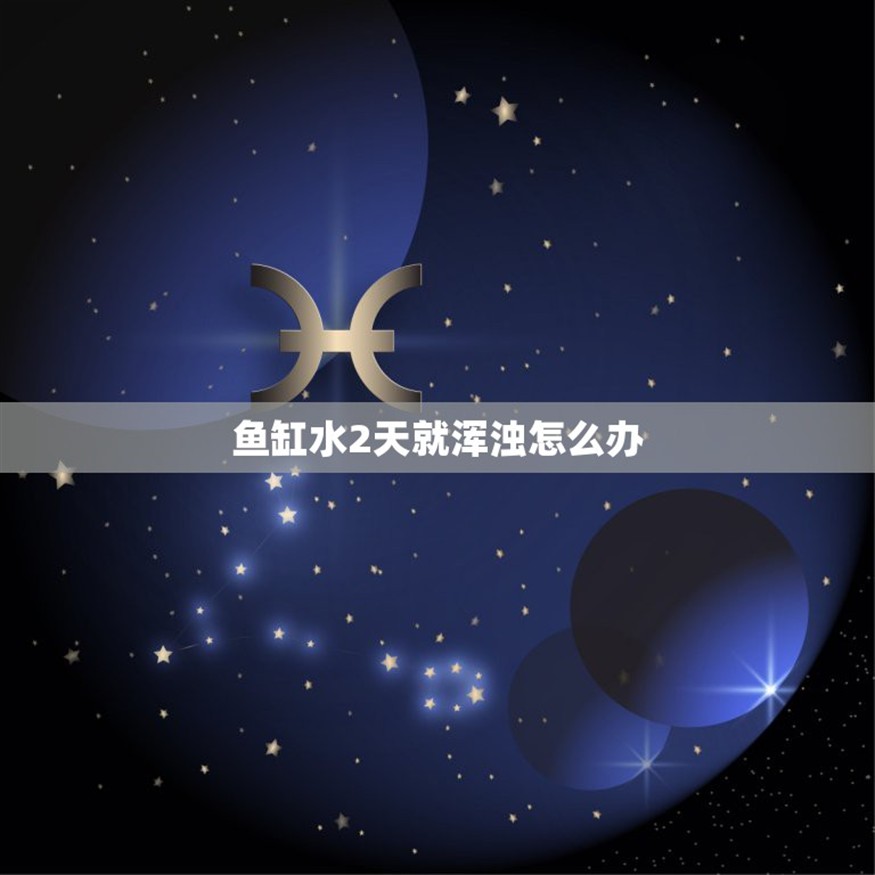 萊州市藝苑小區尼莫水族館（萊州市藝苑小區尼莫水族館電話）