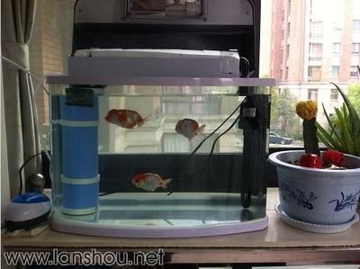 成品魚缸改裝方案設計：成品魚缸改裝方案
