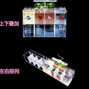 斗魚缸換水可以全換嗎：斗魚缸換水是否可以全換，從以下幾個方面進行考慮 斗魚缸換水可以全換嗎：斗魚缸換水是否可以全換，從以下幾個方面進行考慮 魚缸百科 第3張
