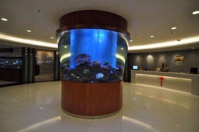 大型魚缸定做價格：大型魚缸定做價格受多種因素影響