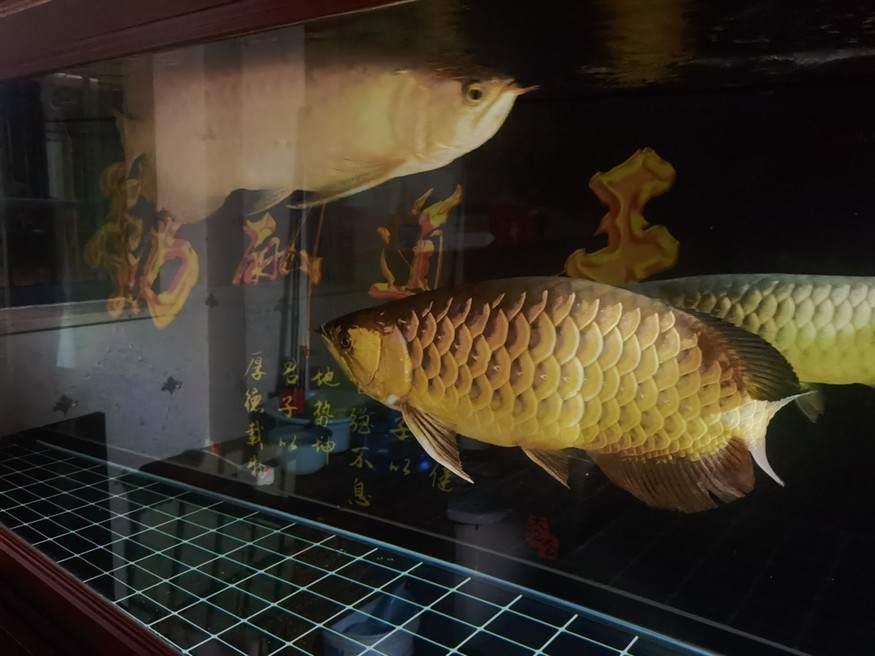 來回折騰