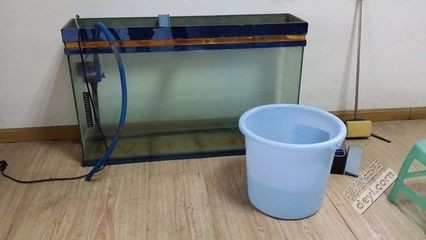 大魚缸換水怎么控制溫度的視頻：大魚缸換水控制溫度的方法 大魚缸換水怎么控制溫度的視頻：大魚缸換水控制溫度的方法 魚缸百科 第4張
