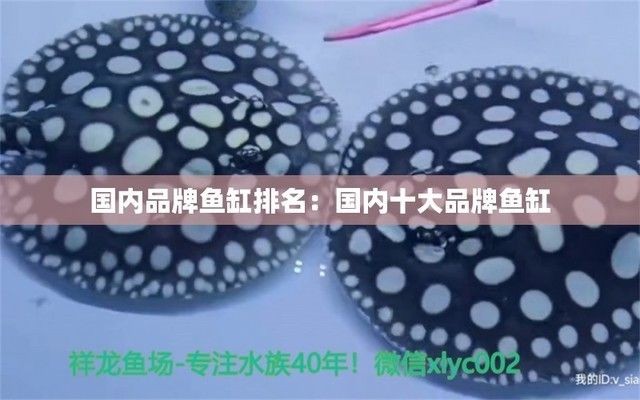 國內魚缸排名，2024年國內魚缸品牌排名