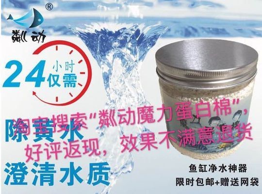 廣州市南沙區支流水族養殖農民專業合作社（南沙支流水族養殖基地）