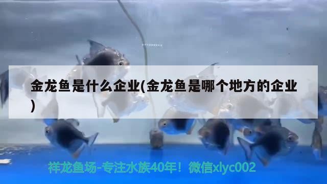 黃島區金海王水族館（黃島區金海王水族館電話）