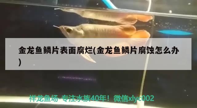 黃島區金海王水族館（黃島區金海王水族館電話）