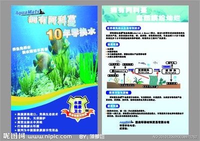 紅龍魚吃啥（紅龍魚吃啥對發色比較好）