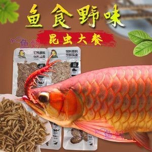 紅龍魚配什么燈好看又漂亮（紅龍魚配什么燈好看又漂亮圖片） 紅龍魚配什么燈好看又漂亮（紅龍魚配什么燈好看又漂亮圖片） 紅龍魚百科