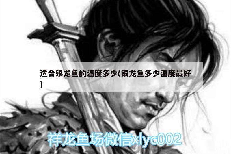 適合銀龍魚的溫度多少(銀龍魚多少溫度最好)