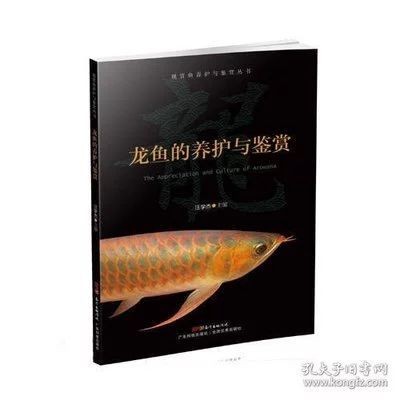 龍魚的養護與鑒賞作文300字左右怎么寫的呀