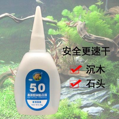 玻璃做魚缸用什么膠結實嗎：使用玻璃膠粘接魚缸的注意事項