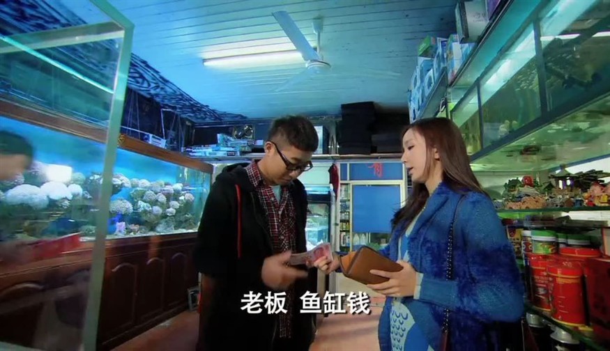 愛情公寓買魚缸：《愛情公寓》中的魚缸情節(jié)