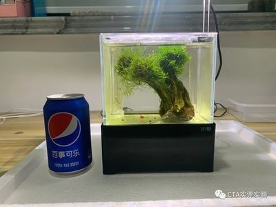 100l的魚缸：一個容積為100升的魚缸通常具有以下規格以下規格