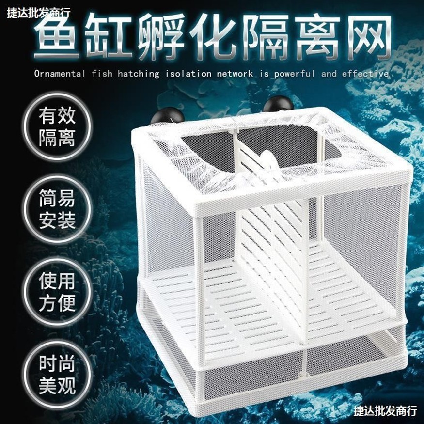 斗魚魚缸底部鋪什么好：如何選擇適合斗魚的魚缸底部材料 斗魚魚缸底部鋪什么好：如何選擇適合斗魚的魚缸底部材料 魚缸百科 第1張