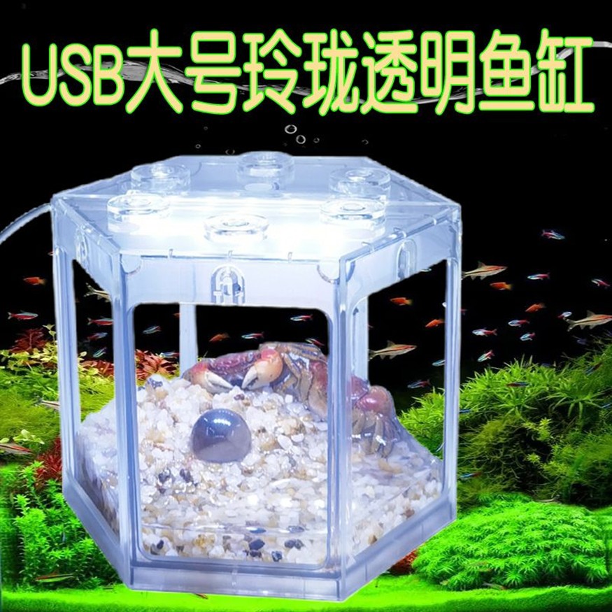 斗魚魚缸底部鋪什么好：如何選擇適合斗魚的魚缸底部材料 斗魚魚缸底部鋪什么好：如何選擇適合斗魚的魚缸底部材料 魚缸百科 第3張