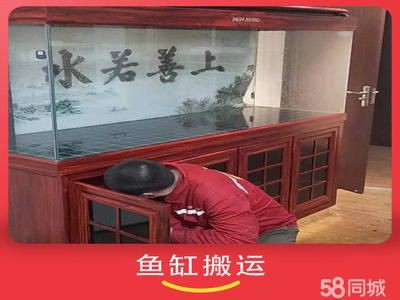 搬家公司搬運(yùn)魚缸多少錢一個小時：搬家公司搬運(yùn)魚缸的具體費用是多少？