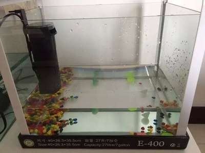 玻璃魚缸角破裂了怎么補：玻璃魚缸角破裂怎么修補